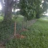 Myla Livestock Fence